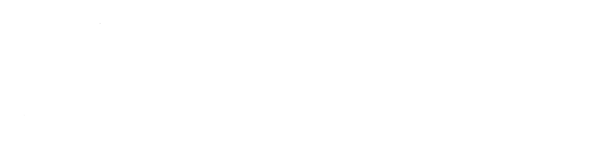 The Ritz Herald Logo
